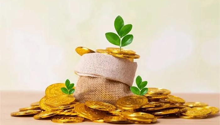 وام برای تاسیس طلا فروشی